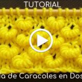fantasia caracoles