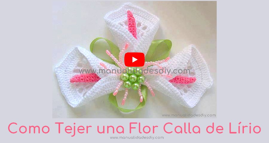 flor calla lirio