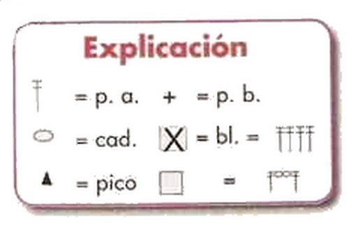 explicación puntilla facil